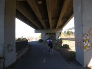 more new-to-me bike path